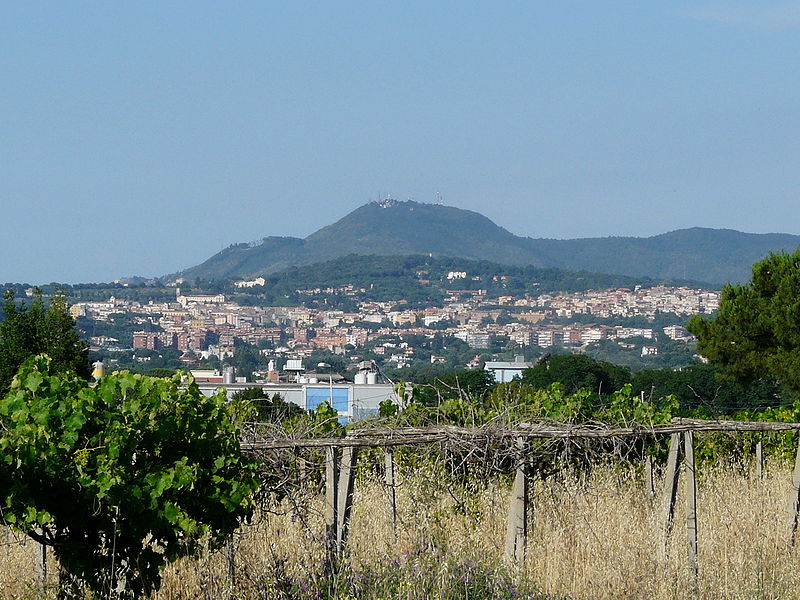 Albano L. Panorama