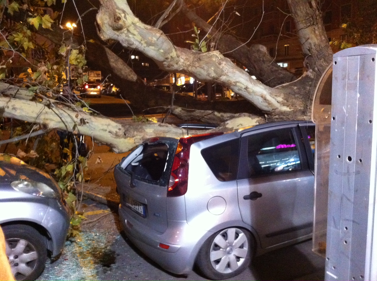 San Giovanni, albero cade in piazza Zama e distrugge le automobili