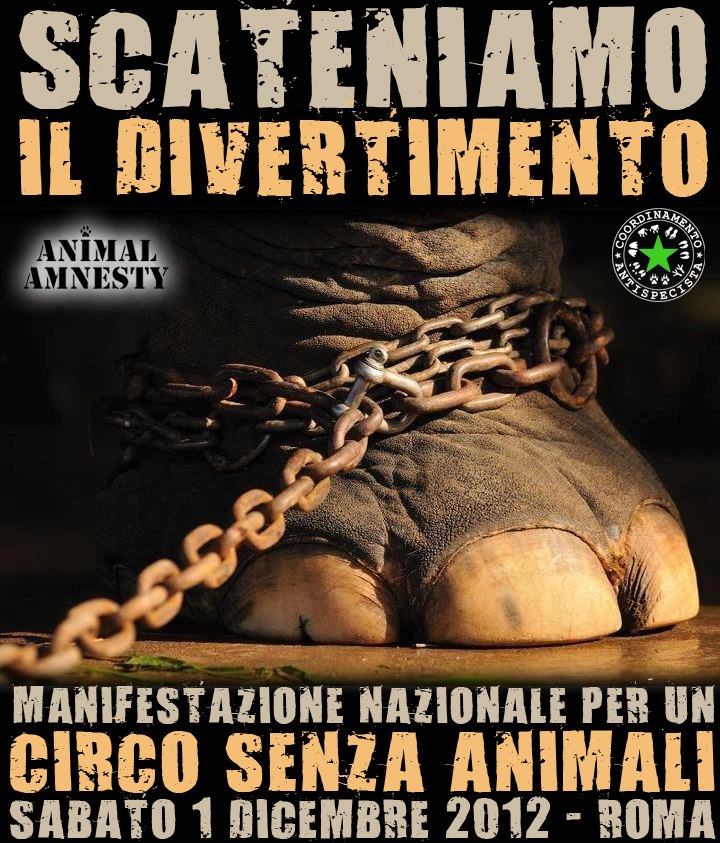 Domani manifestazione antispecista. Ecco le linee a rischio