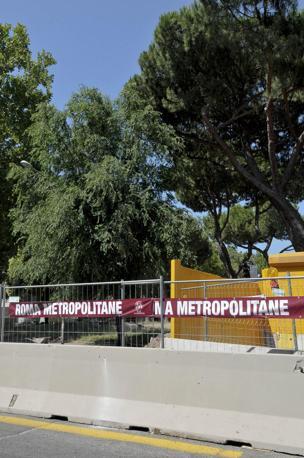 Roma, Maritato(Lega): “Moria di pini e fondi non usati, Raggi chiarisca”