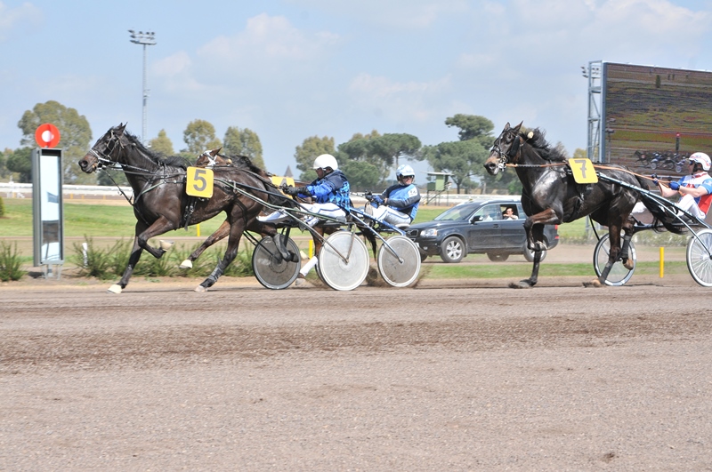 Ippodromo Capannelle, si apre una nuova era per lo storico impianto