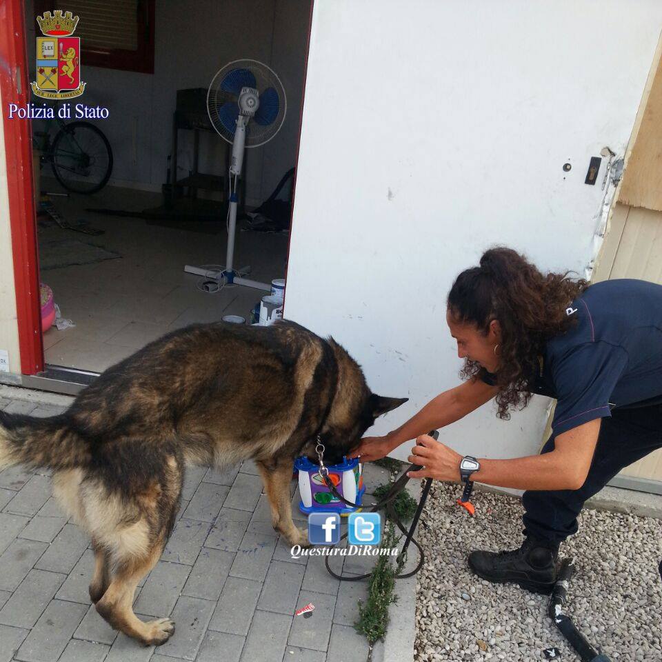 Controlli a tappeto a La Barbuta: cocaina dentro una cesta di giocattoli