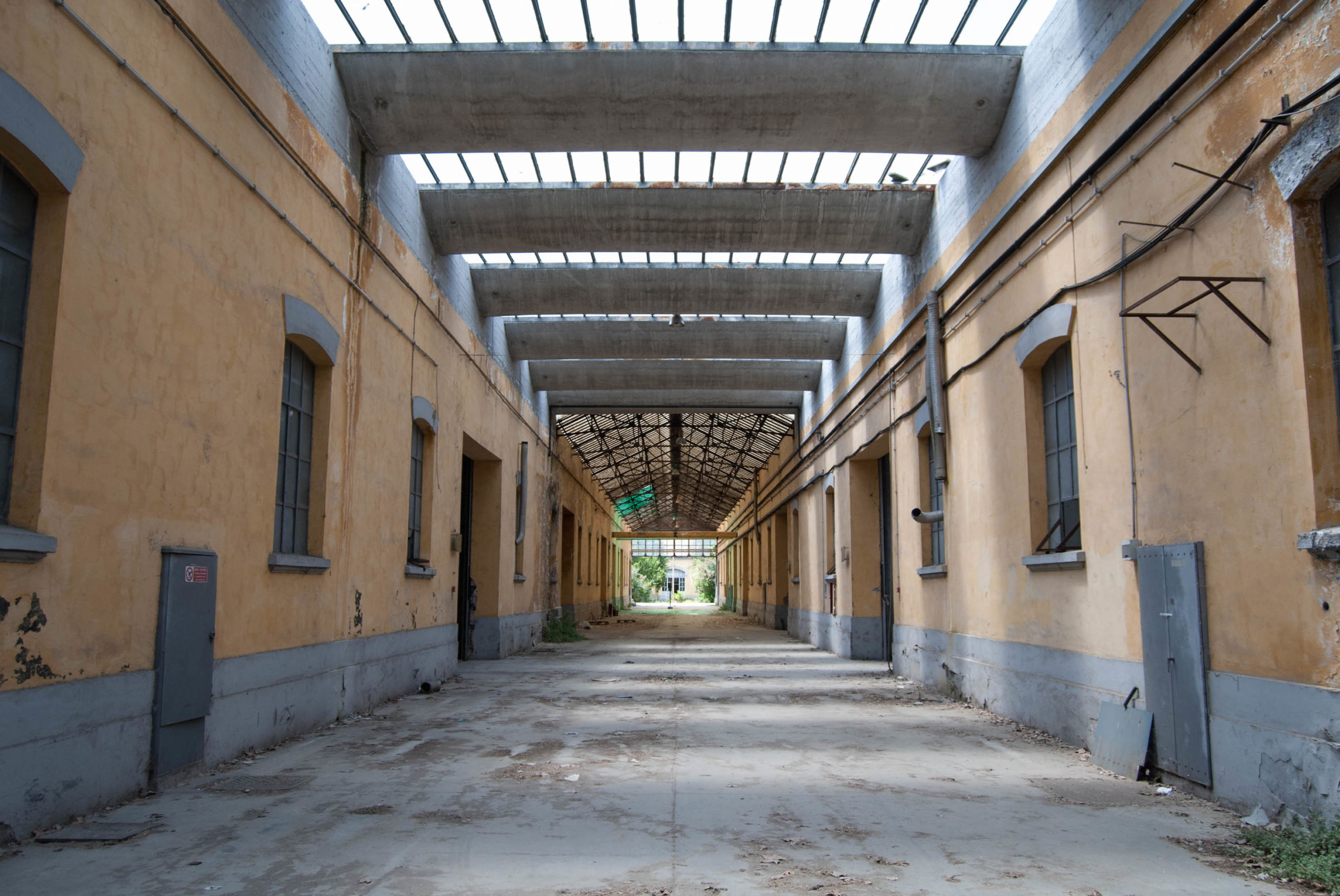 L’arte urbana in scena all’Outdoor Camp