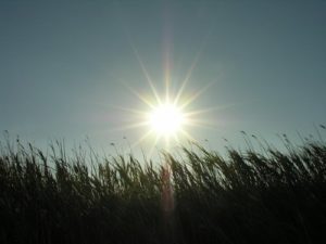 climatorrido
