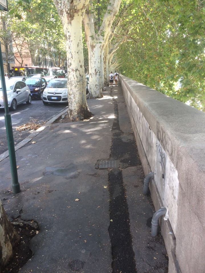 Lungotevere, la denuncia di Assotutela sullo stato delle ciclabili