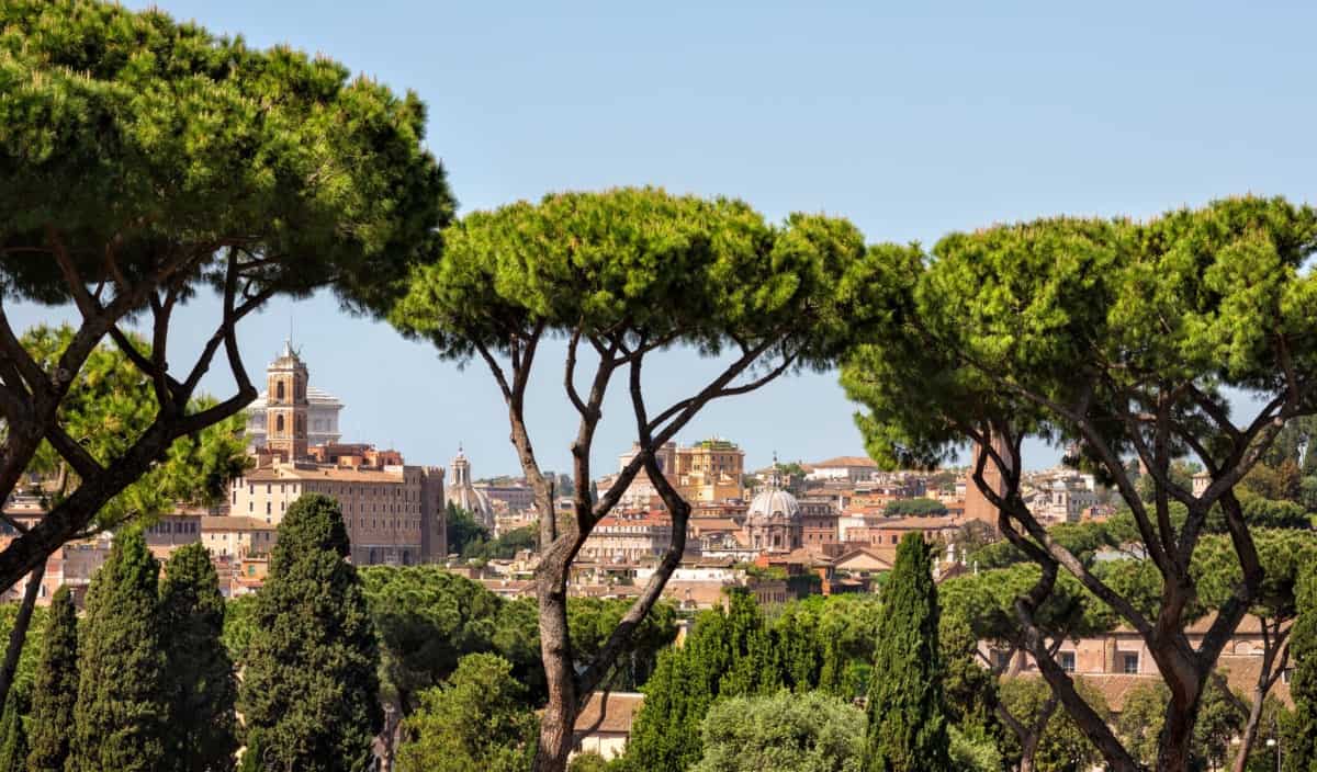 ROMA, LISTA RINASCIMENTO-CAMBIAMO: “TUTELIAMO I PINI E GLI ALBERI DELLA CAPITALE”