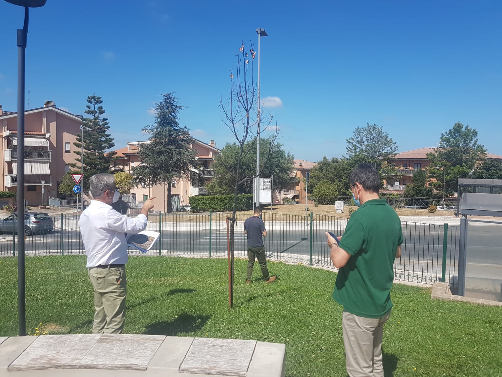 Lanuvio, interventi di piantumazione di 500 nuovi alberi