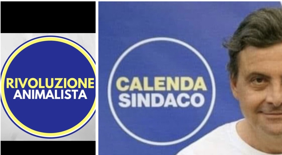 ROMA, CARAMANICA CONTRO CALENDA: “SCOPIAZZA NOSTRO SIMBOLO? CHIARISCA”Si