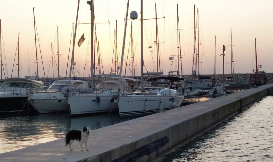 Lupi: Forte preoccupazione per il settore della Blue Economy