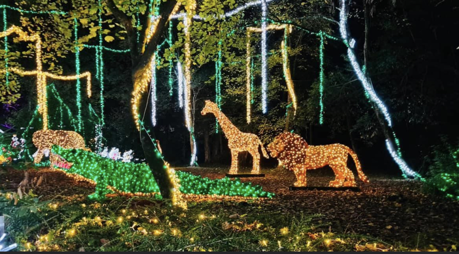 ARICCIA, AL PARCO DELLE FAVOLE INCANTATE CHIUSURA IN GRANDE STILE CON LA BEFANA