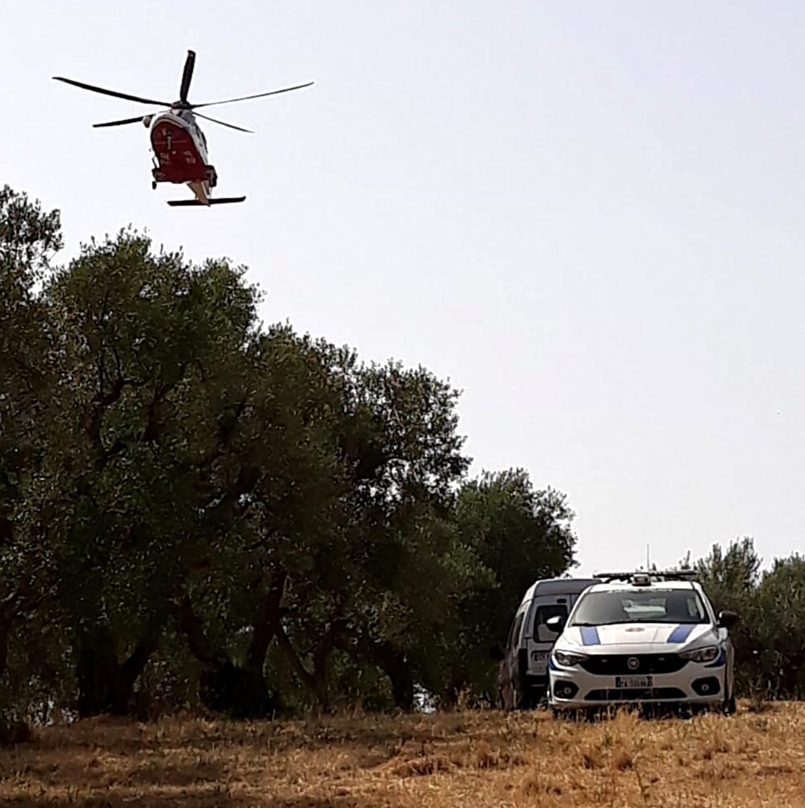 Lanuvio, incendi e rifiuti: Amministrazione, Polizia Locale e Protezione Civile a lavoro