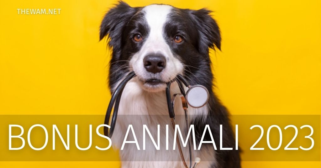 ECONOMIA, REA: “BOCCIATO BONUS ANIMALI DOMESTICI. GOVERNO ILLOGICO E INCOERENTE”