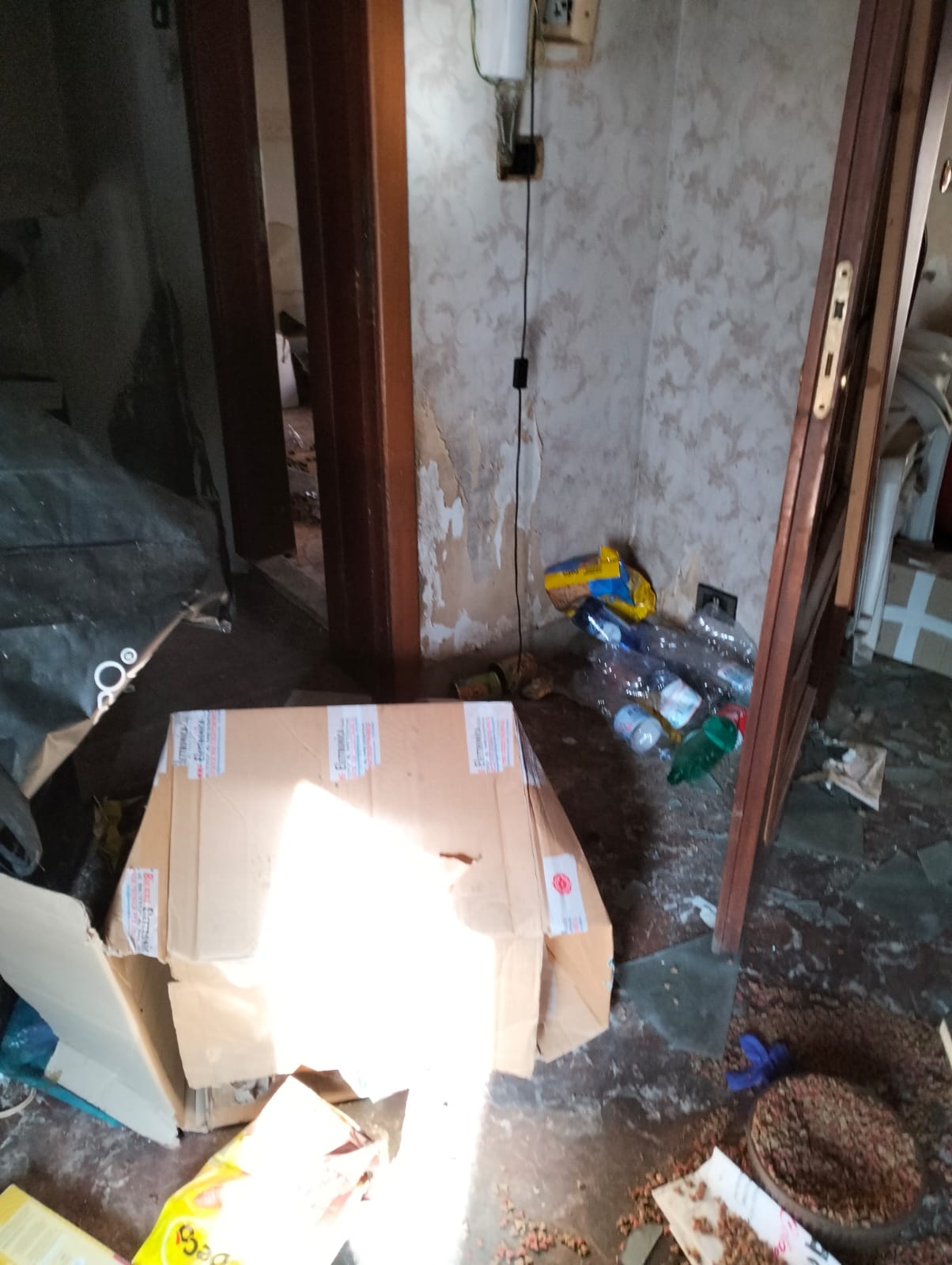 Catania, Rea: “È di nuovo casa degli orrori: esposto in procura nel silenzio istituzioni”
