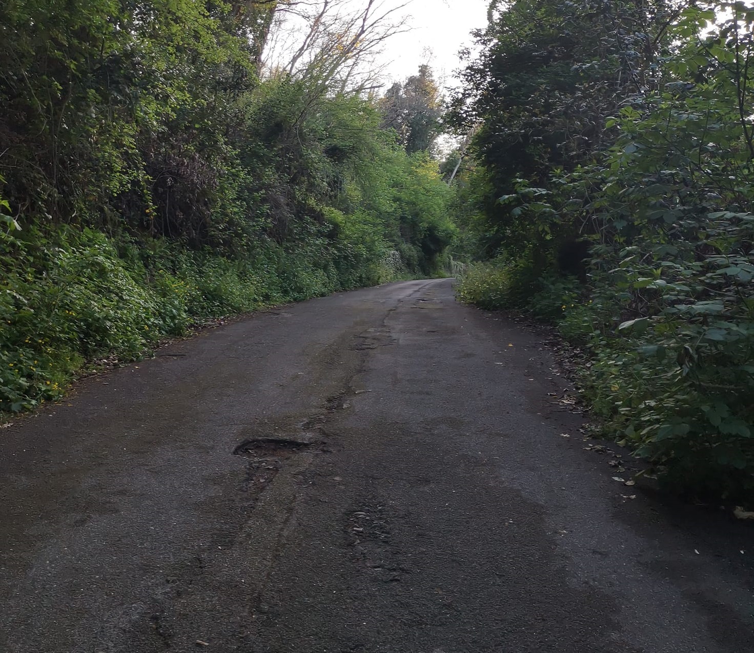 La strada di accesso all’Istituto Alberghiero di Marino è una jungla: buche e rifiuti. Venanzoni: “Comune intervenga”