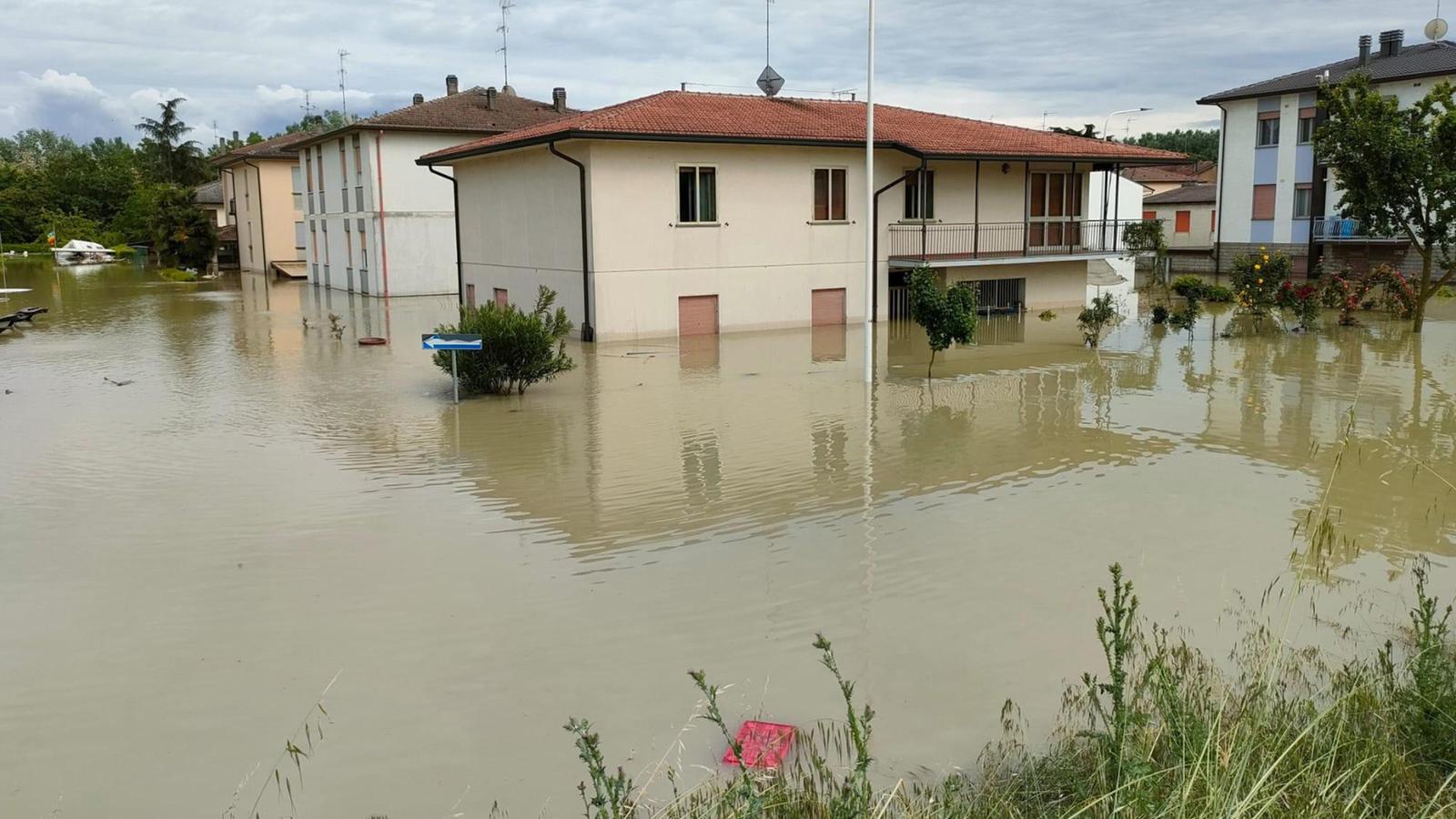 Maltempo, Rea: “Solidarietà a popolazioni colpite. Preoccupati per animali”