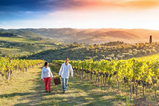 Eno-oleoturismo, approvata la prima legge nel Lazio