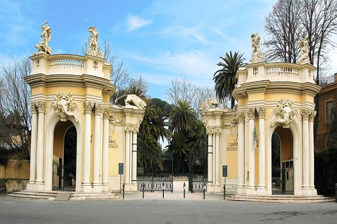 Bioparco di Roma a metà prezzo, dal 20 al 24 novembre promozione eccezionale per i romani Bioparco di Roma a metà prezzo, dal 20 al 24 novembre promozione eccezionale per i romani