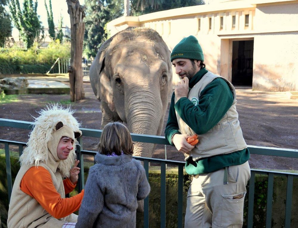 “I vestiti degli animali” e “Chi non si adatta è perduto”, domenica di Carnevale al Bioparco di Roma